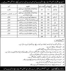AMC Center Abbottabad Jobs 2025