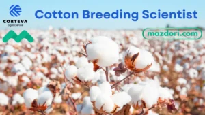 Cotton Breeding Scientist at Corteva Agriscience 2025