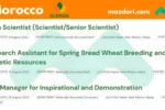 Research Assistant Position at ICARDA 2025