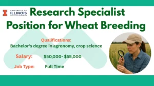Research Specialist Position for Wheat Breeding 2025
