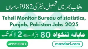New Tehsil Monitor Bureau of Statistics Jobs 2025
