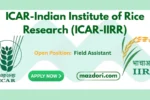 Latest Field Assistant Jobs 2025 at ICAR- IIRR