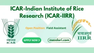 Latest Field Assistant Jobs 2025 at ICAR- IIRR
