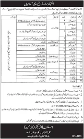 Tourism Archaeology and Museum Department Punjab Jobs 2025