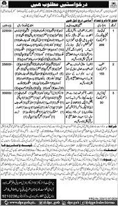 Population Welfare Department Balochistan Jobs 2025 Quetta Latest Advertisement
