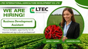 Business Development Assistant at LTEC International 2025