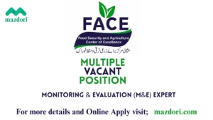 Monitoring and Evaluation Expert at FACE 2025