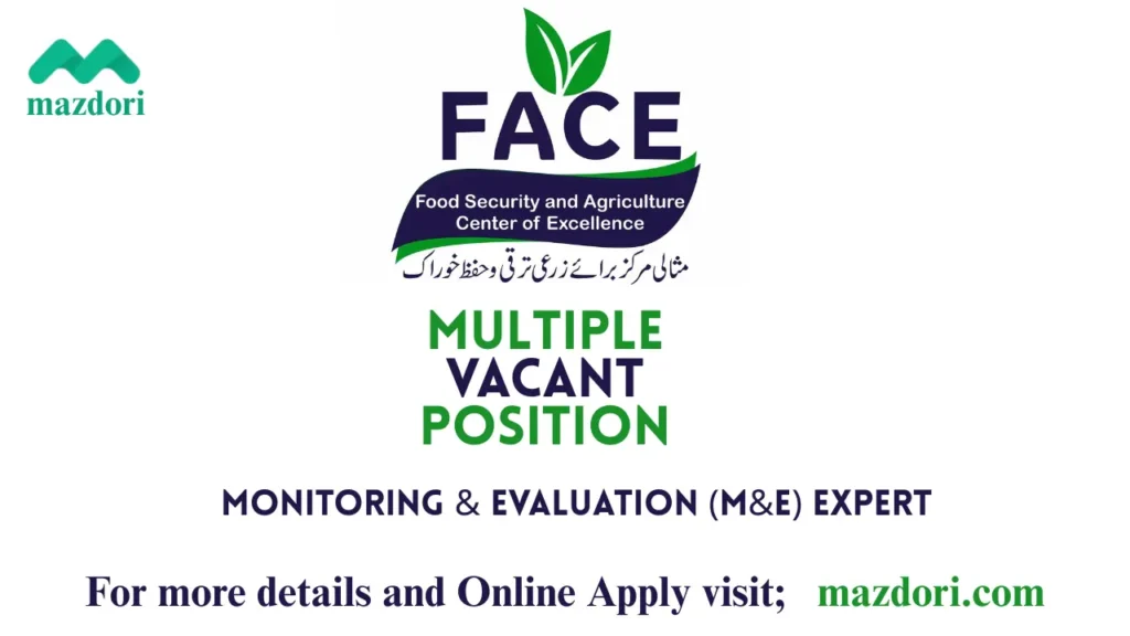 Monitoring and Evaluation Expert at FACE 2025