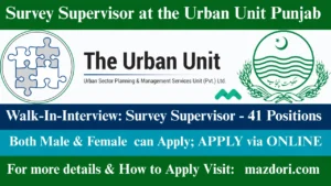 Survey Supervisor at the Urban Unit Punjab 2025