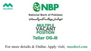 Teller OG-III Jobs at NBP 2025