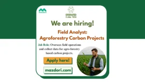 Field Analyst Position in Agroforestry Carbon Project 2025