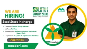 Seed Store In charge 2025 at Top Sun Group