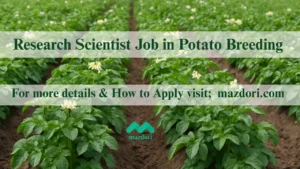 Research Scientist Job in Potato Breeding 2025