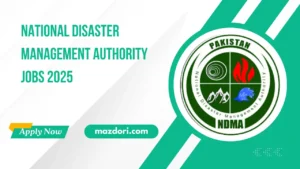 NDMA Latest Careers 2025