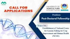 University of Agriculture Faisalabad NCGE Jobs 2025