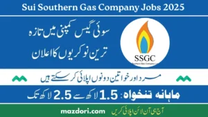 Latest Sui Southern Gas Company Jobs 2025