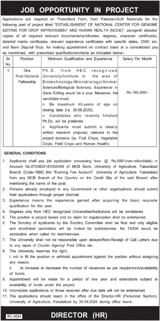 University of Agriculture Faisalabad NCGE Jobs 2025